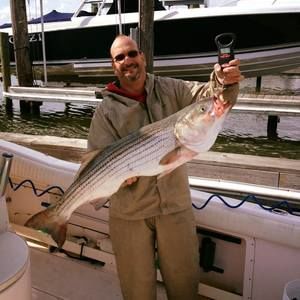 Meet your Posher, Mark